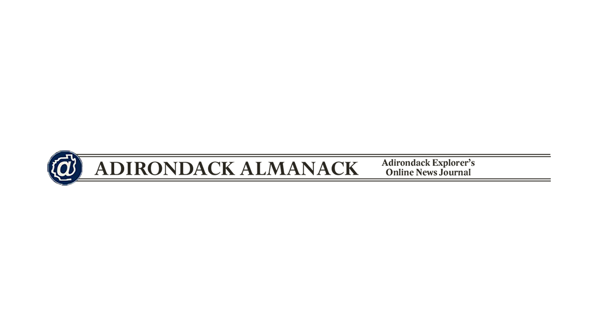 Adirondack Alamanac Logo